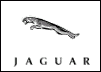 Speedlingerie Jaguar