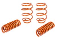 6th Generation Camaro SS aFe Control Lowering Springs 410-402002-N