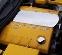 C6 Corvette LS2 Painted Fuel Rail Covers