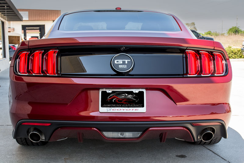 2015 Mustang  Custom