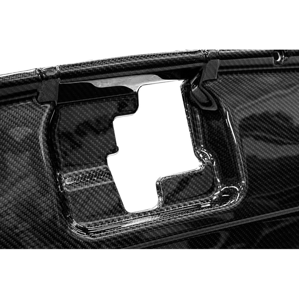 2015-2017 Mustang Carbon Fiber Radiator Cover