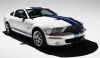 K&N Mustang Shelby Intakes