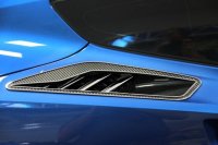 C7 2014-2018 Corvette 10pc Rear Quarter Panel Vent Carbon