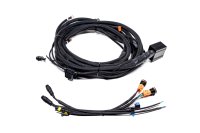 Morimoto BigBanger 7-Pod Power Harness with Push Button Switch - High-Performance LED Control for...