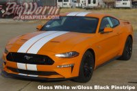 2018 Mustang Wide Twin Full Length Stripes Kit