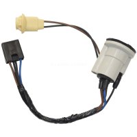 1974-1975 Chevrolet Chevelle El Camino Monte Carlo Malibu Lectric Limited Front Parking Turn Sign...