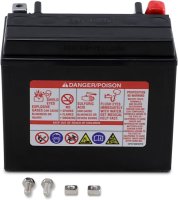 Yuasa 12V Factory Activated AGM Battery