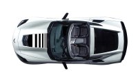 2014-2019 C7 Corvette Stinger Stripe - Notched Fade Style Black Gloss Carbon Fiber Stingray/GS