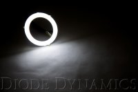 Halo Lights LED 60mm White Single Diode Dynamics DD2071S