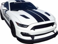 2015-2017 Mustang GT 350 Style Mustang fiberglass front bumper with front lip