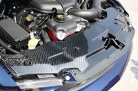 2015-2017 Mustang Carbon Fiber Radiator Cover 