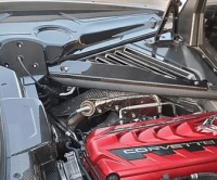 2020-2024 Corvette C8 AGM Carbon Fiber Rear Strut Covers Pair