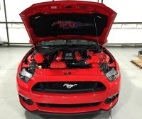 2015-2017 Ford Mustang Painted Complete Engine Package