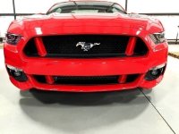 2015-2017 Ford Mustang Painted Grille Pillar Covers
