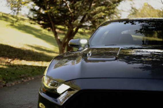 Morimoto Drift Light System for 2018-2023 Ford Mustang - High-Performance LED Pods with Laser-Cut...