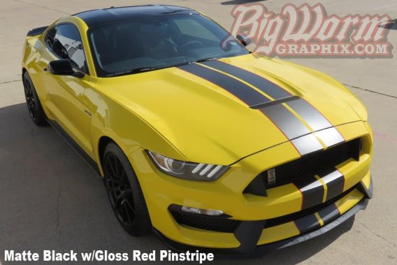 2015-2017 Mustang GT-350 Twin Full Length Stripes Kit