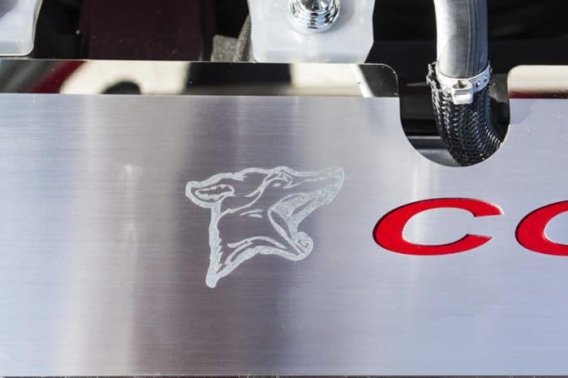 2015-2017 Mustang Radiator Cover Plate With Etched Logo And Coyote Lettering