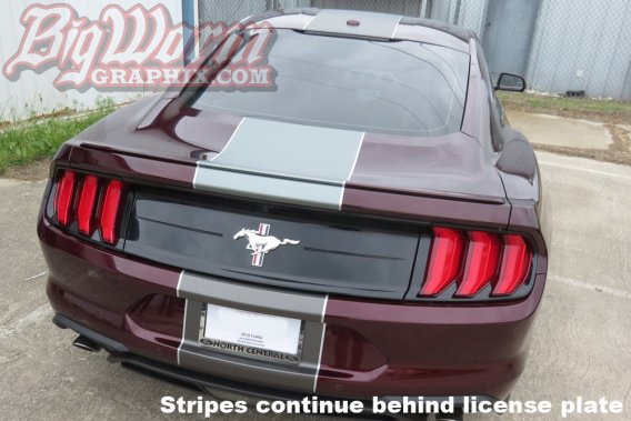 2018-2019 Mustang Center Full Length Stripe Package