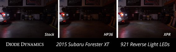 Backup LEDs for 2014-2020 Subaru Forester (pr) XPR (720 Lumens) Diode Dynamics