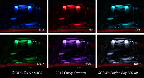 RGBW Engine Bay Strip Kit 2pc Multicolor Diode Dynamics DD0440