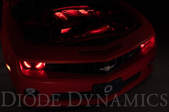RGBW Engine Bay Strip Kit 4pc Multicolor Diode Dynamics DD0444
