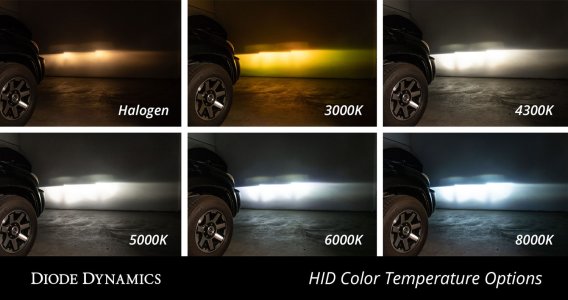 HID Bulb D2H 6000K pr Diode Dynamics DD1203P
