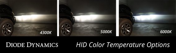 Replacement OEM HID Bulbs for 2018-19 GMC Terrain pr 6000K Diode Dynamics