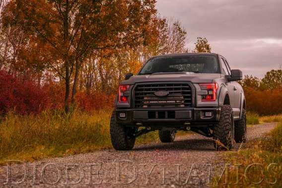 For 2015-2016 Ford F-150 RGBW LED Boards Diode Dynamics DD2004