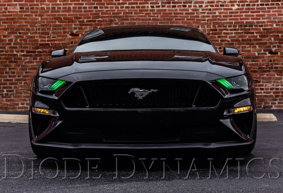 Mustang 2018 RGBWA DRL LED Boards EU Diode Dynamics DD2254