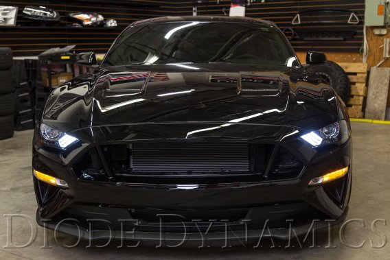 For 2018-19 Ford Mustang Switchback DRL LED Boards USDM Diode Dynamics