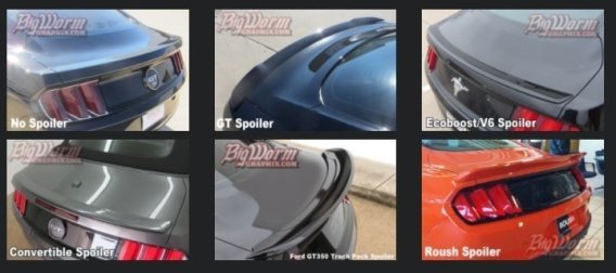 2015-2017 Mustang Wide Supersnake Style Full-Length Stripe Spoiler Options