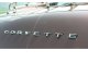 C3 1974-1975 Corvette Rear Bumper Letters 