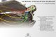 Morimoto 2Stroke 4.0 LED Bulb - High-Performance Fog Light Upgrade with Superior Beam Quality and...