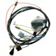 1969 Chevrolet Camaro Lectric Engine Wiring Harness for 302, 307, 327, & 350 C.I. with Warning Li...