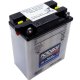 Yuasa 12N12A-4A-1 Conventional 12V Battery (Acid Not Included)