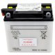 Yuasa 12N7-4A Conventional 12V Battery (Acid Not Included)