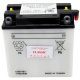 Yuasa 12N9-4B-1 Conventional 12V Battery Without Acid