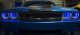 2015-2018 Dodge Challenger Stainless Illuminated Headlight Surround
