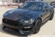 2015-2017 Mustang GT-350 Twin Full Length Stripes Kit