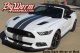 2015-2017 Mustang Narrow Twin Full-Length Stripes Kit