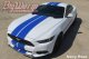 2015-2017 Mustang Twin Full Length Stripes With Pinstripe Kit