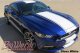 2015-2017 Mustang Wide Supersnake Style Full-Length Stripe