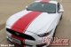 2015-2017 Mustang Wide Supersnake Style Full-Length Stripe