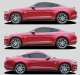 2015-2017 Ford Mustang Stallion Rocker Stripe Kit