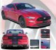 2018-2019 Mustang GT/Ecoboost Stage Rally Stripe Kit