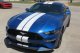 2018-2019 Mustang Narrow Twin Full Length Stripes Kit