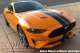 2018-2019 Mustang Narrow Twin Full Length Stripes Kit