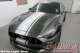 2018-2019 Mustang Offset Full Length Stripe Package