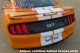 2018 Mustang Wide Twin Full Length Stripes Kit