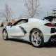 2020-2021 C8 Corvette Carbon Fiber Side Door Garnish